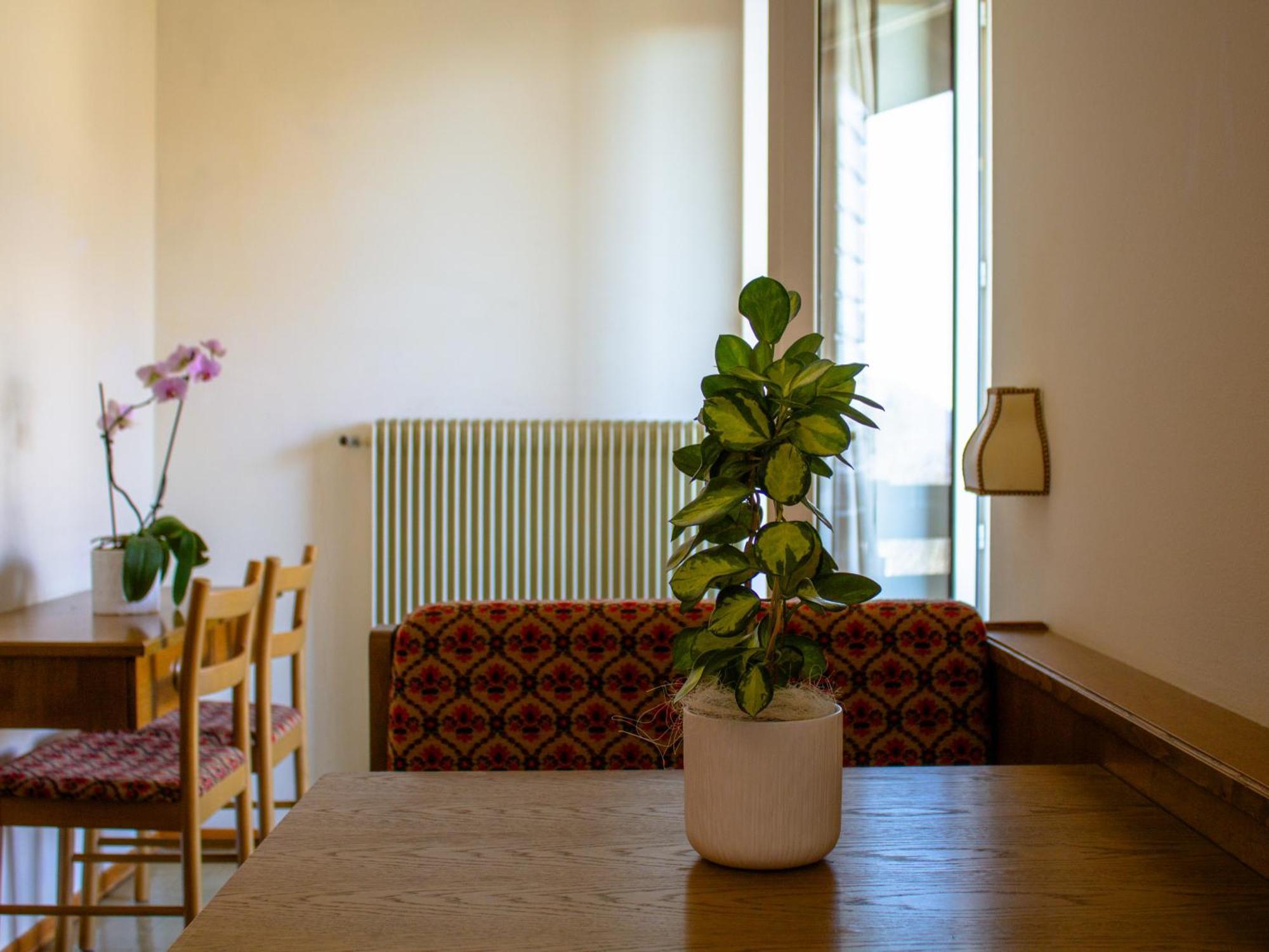 Locanda La Ruscoletta Telve Extérieur photo